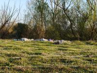 Imagine atasata: g4.jpg